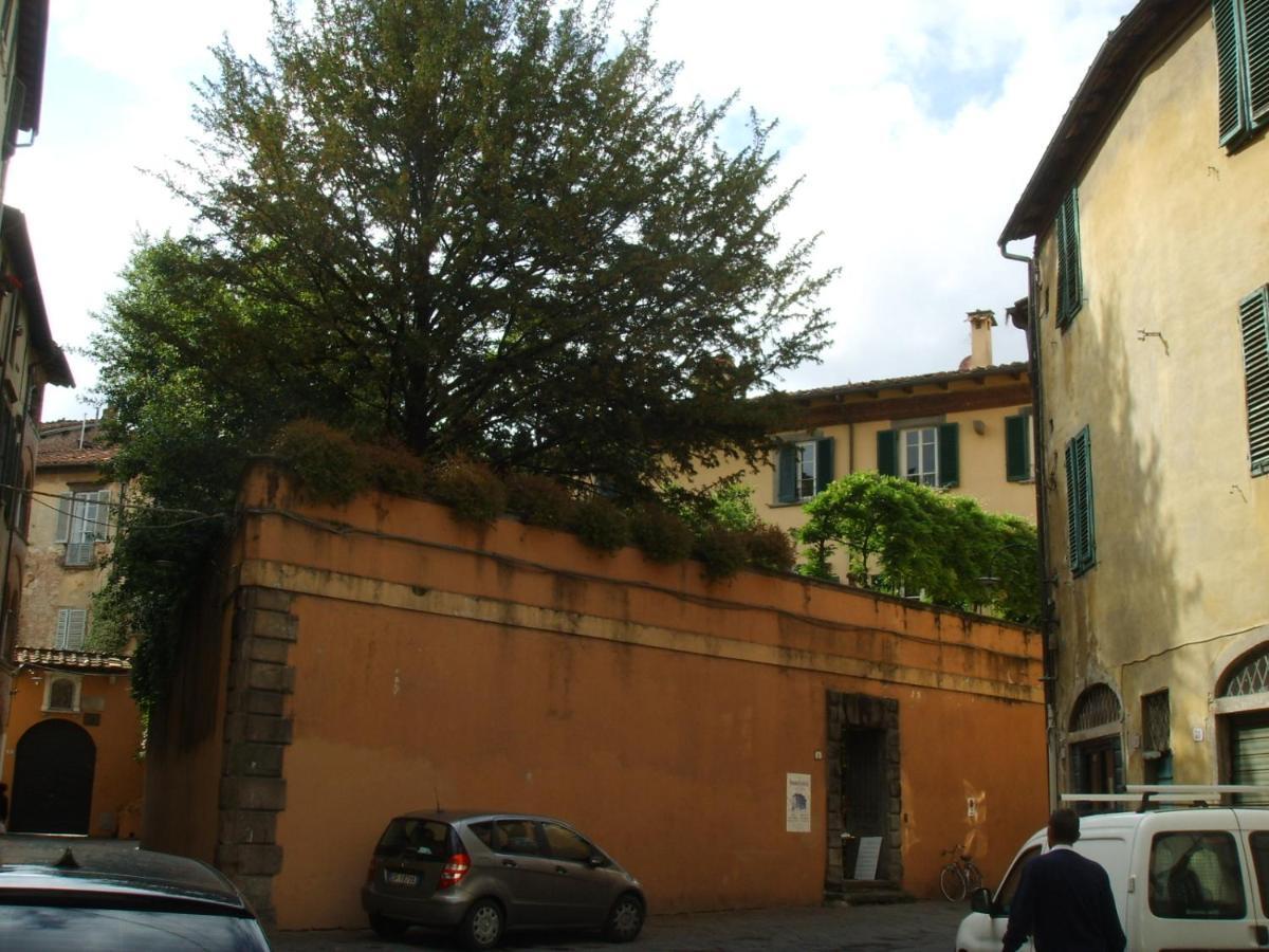 Delicious Busdraghi Apartment Lucca Exterior photo